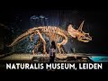 naturalis museum 2022 rexperience leiden centrum netherlands