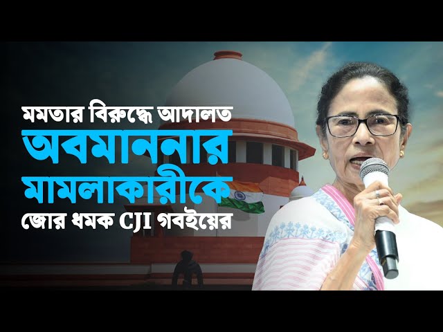 মমতার বিরুদ্ধে আদালত অবমাননার মামলাকারীকে জোর ধমক CJI গবইয়ের