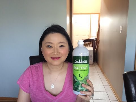 image-Is out Petcare good for dogs?