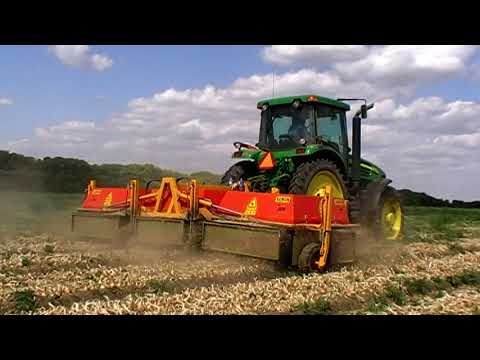 SAMON | 3-Bed Onion Topper