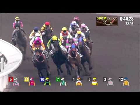 7/3/2021 (486) Flying Bonus - A Hamelin