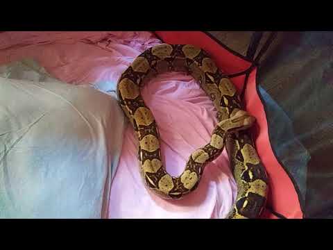 JUANITA SUNDAY RELAXING AFTER LONG THERAPY SESSION ON ME