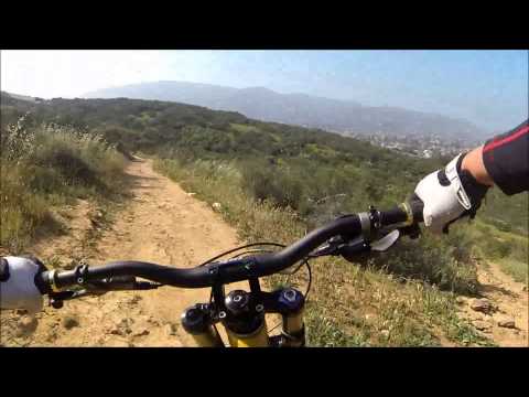 HUMMINGBIRD+SIDE ACTION 03.21.2015