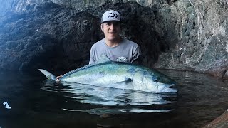 Big Kingfish smashes livebait! | Landbased Fishing NZ | Part 1