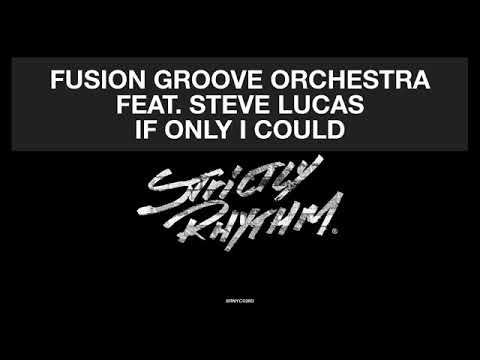 Fusion Groove Orchestra Feat  Steve Lucas   If Only I Could Liem Remix Official Audio