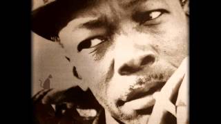 JOHN LEE HOOKER - BLUEBIRD BLUEBIRD TAKE A LETTER DOWN SOUTH