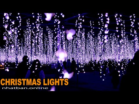 Japan The Beautiful Christmas Lights in Ashikaga | #4k #christmaslights #あしかがフラワーパーク| Explore Japan