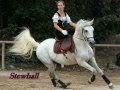 Hugues Aufray Stewball 