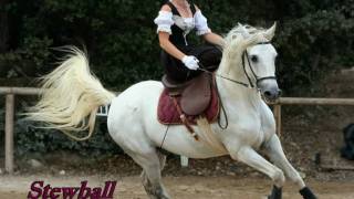 Hugues Aufray Stewball