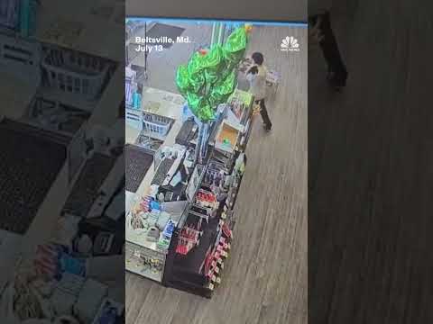 Man steals cat, allegedly tries to rob bank with her
