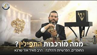 ✨מהבהמה אל הקודש: כל החומרים והפרשיות שמרכיבים את התפילין | הרב מאיר אור שרגא (ארגון קול הלשון) - התמונה מוצגת ישירות מתוך אתר האינטרנט יוטיוב. זכויות היוצרים בתמונה שייכות ליוצרה. קישור קרדיט למקור התוכן נמצא בתוך דף הסרטון