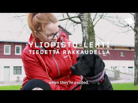 Miltä koirasta tuntuu? How to interpret dogs' emotions? | Helsingin yliopisto