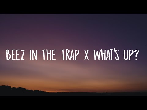 Nicki Minaj, 4 Non Blondes - Beez In The Trap X What’s Up? (Lyrics) [TikTok Song]