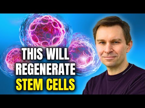 This Food Can Regrow Stem Cells, Eat This Every Day! | Dr. David Sinclair