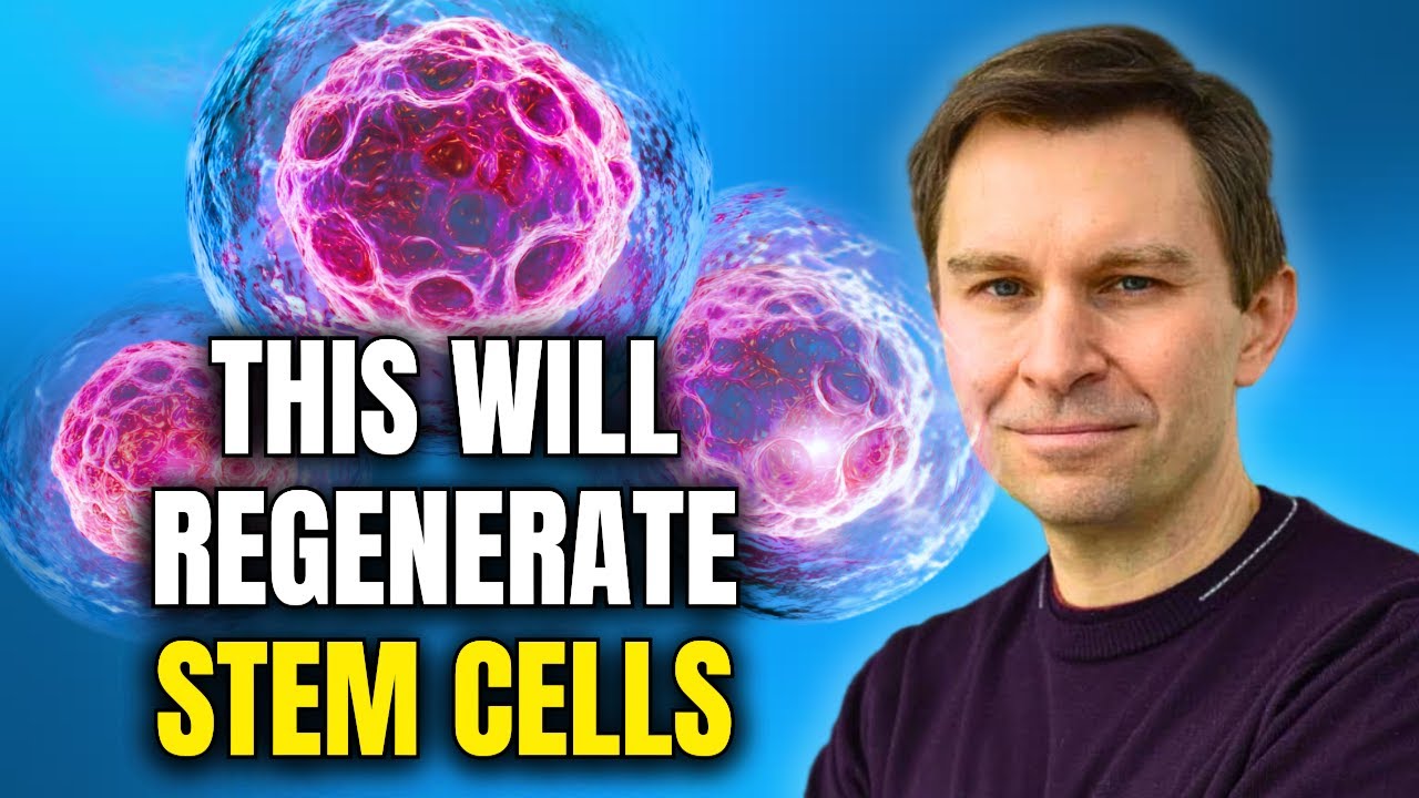 This Food Can Regrow Stem Cells, Eat This Every Day! | Dr. David Sinclair