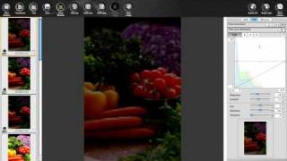 Canon Digital Photo Professional Tutorial - Tool palette/RGB image (9/19)