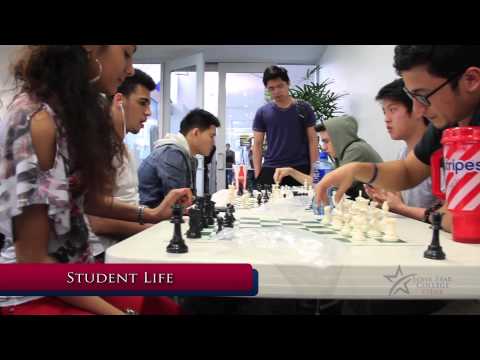 Happy: A Journey from Backpack to Briefcase