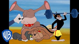 Download lagu Tom & Jerry in italiano 🇮🇹 | Gatti VS Cani | @WBKidsItaliano mp3 Download lagu Tom & Jerry in italiano 🇮🇹 | Gatti VS Cani | @WBKidsItaliano mp3