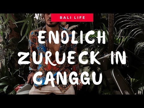 Deshalb liebe ich Canggu! Bali Reise Vlog