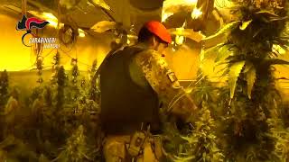 droga-incredibile-scoperta-in-alta-irpinia