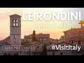 Lucio Dalla  - Le Rondini  / Testo | Lyrics #italy Bella Italia
