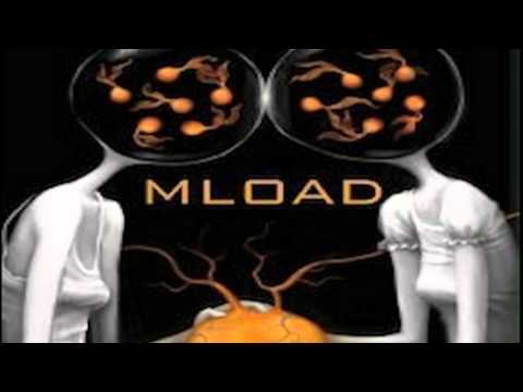 MLOAD - Apster vs Afrojack feat Bingo Players