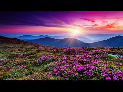 Về đây người ơi Sheet - Ngân Hà