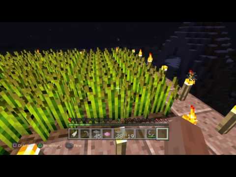 Happy birthday Kayleigh \^-^X^_^/ part5