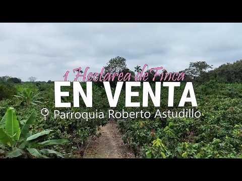 Finca de 1.1 Hectáreas en Venta - Parroquia Roberto Astudillo, Milagro, Ecuador