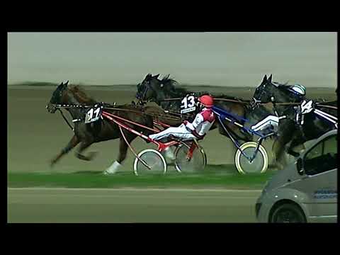 Napoli Trotto 19/11/2021 - 7ª corsa