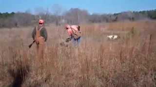 preview picture of video 'Briar Creek Quail Hunt'