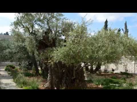 Gdolim Ve’Nifla’im Ma’asecha - Great and Wonderful