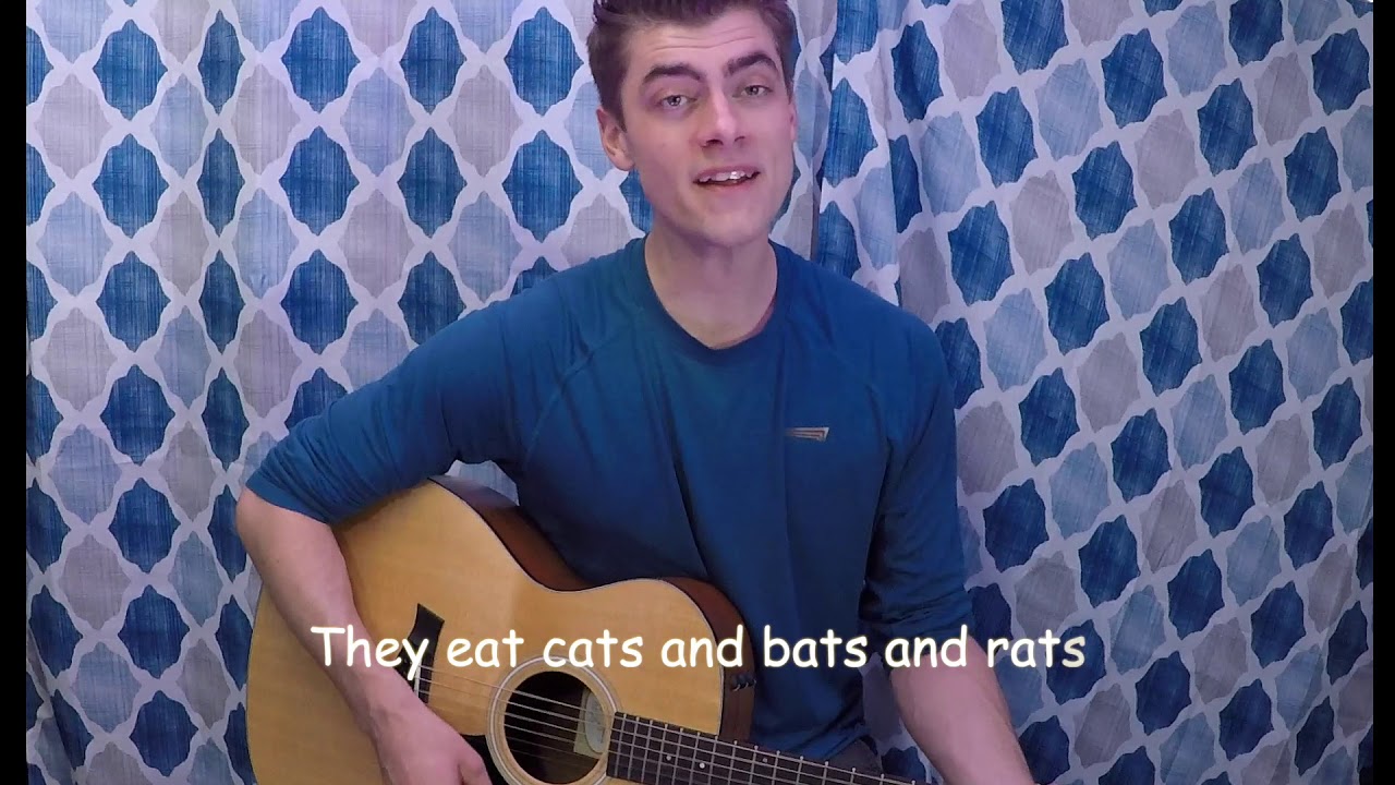 Rainforest Layers Song Sing Along