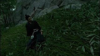 Re: [閒聊] 對馬戰鬼-仁身體故障BUG