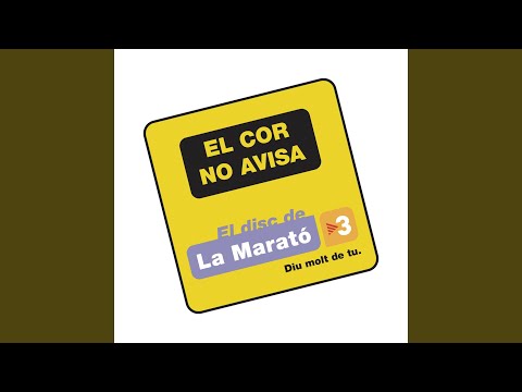 Només Tu (Nadie como Tu)