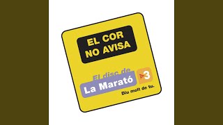 Només Tu (Nadie como Tu)