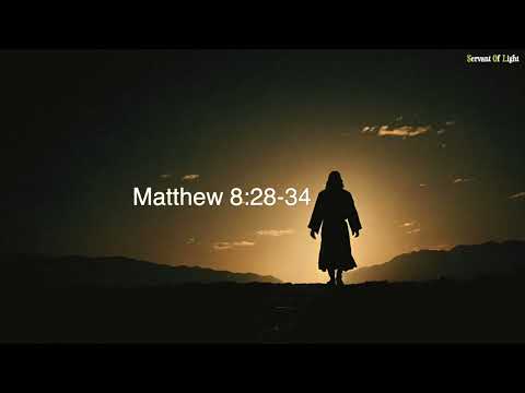 Matthew 8:28-34 - Daily Gospel Reading - 2nd of July 2025