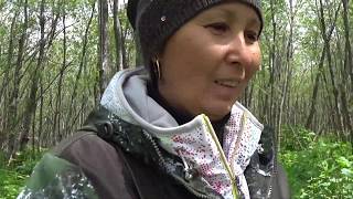Рыбалка в январе на реках озерах алтайского края черная кобра