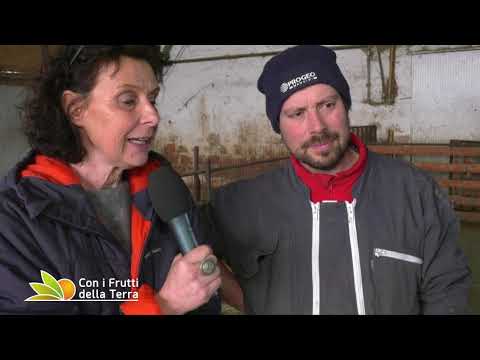 Episode of February 17, 2019 - Part 4 - Organic Chamois Goat Farming