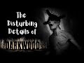 The Disturbing Details Of Darkwood - Story Explained