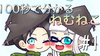 100秒で分かるねむねこ#1