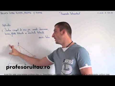 elementele piramidei exemple - profesorultau.ro