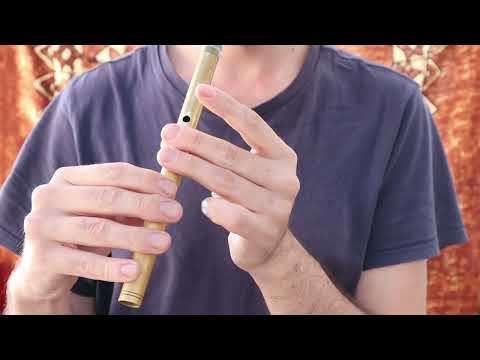 Templehouse - Reel Em | Learn Irish Music