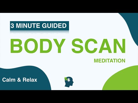 Body Scan Meditation | 3 Minute Body Scan |  Mindful Moment (2023)