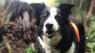 Idgie Twelfth Birthday