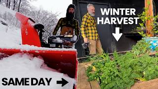 How I Keep Producing Food in New England Winter