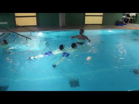 download lagu mp3 mp4 Kinder Transportieren, download lagu Kinder Transportieren gratis, unduh video klip Kinder Transportieren