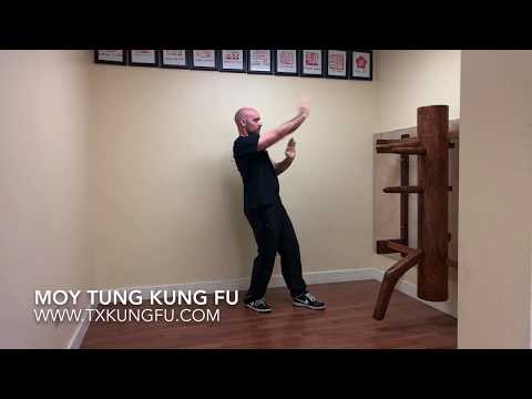 Ving Tsun (Wing Chun) at Home Workout - 2 - Georgetown, TX