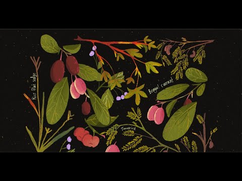 Draw botanical illustration - EP1