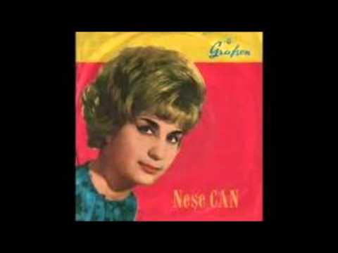 NESE CAN   KACAMAZSIN KACAMAZCIN